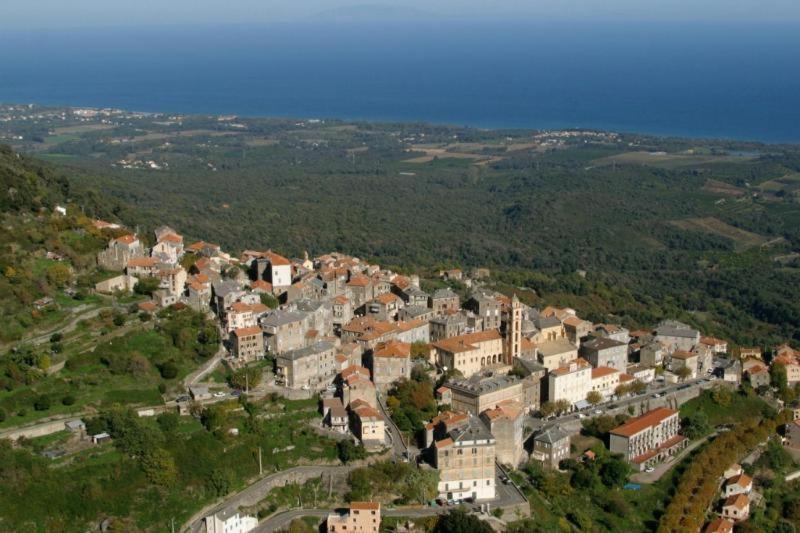Villa Angelini Valle-di-Campoloro Exterior foto